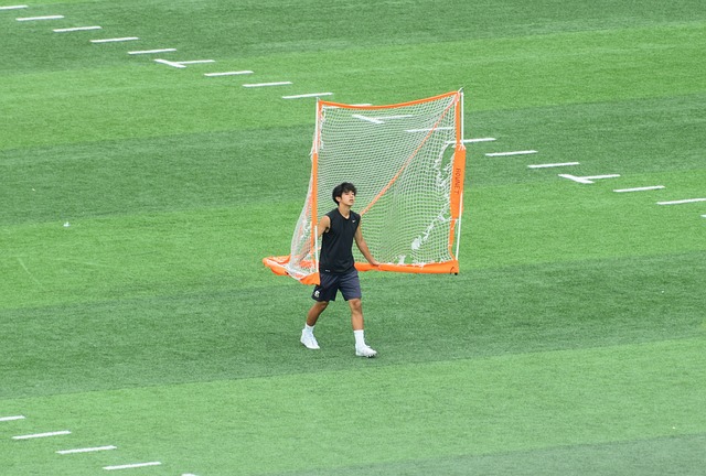 見肘